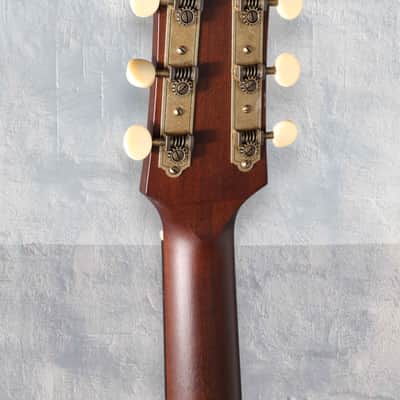 Iris MS-00 - Tobacco Burst. NEW, (Authorized Dealer) image 6