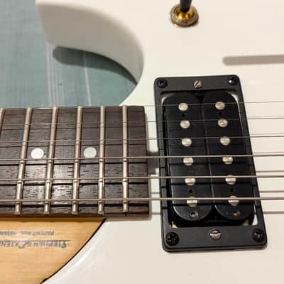 Washburn Nuno Bettencourt N24 image 22