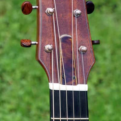 2019 The Tree Sexauer FT-000-C German Top Multi-Scale Fanfret Hot Hide Glue Varnish #2870219 image 3