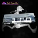 Farfisa Syntorchestra PRO SERVICED/WARRANTY