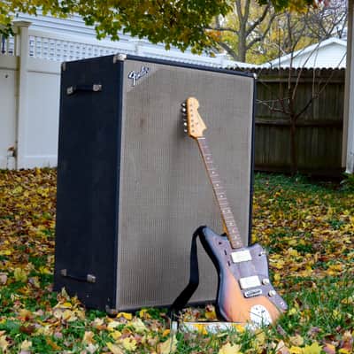 1979 Fender Bassman 100 Pyramid Cab image 18