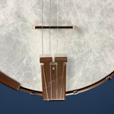 Custom Deering Artisan Goodtime Special 19-Fret Tenor Openback Banjo image 14