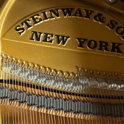 Steinway & Sons M 1927 - Mahogany Satin 256922 image 10