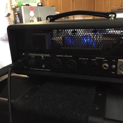 Demeter Tube Bass Pre Amp & 800 Watt Power Amp Minne image 3