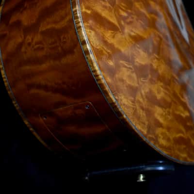 The Tree: The Four Elements - The Element Earth Acoustic Bass image 16