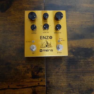 Meris Enzo 2018 - Gold image 1
