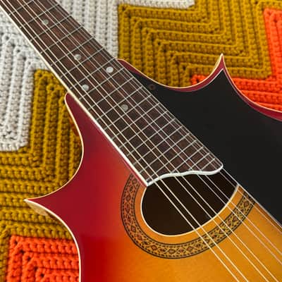 Ibanez Mandolin 1970’s Made in Japan 🇯🇵! - Incredible Sound! - Beautiful Instrument! - image 7