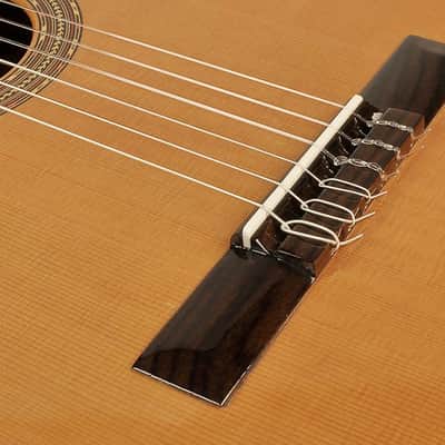 Esteve Classic Series 4STE-CD classic guitar image 5