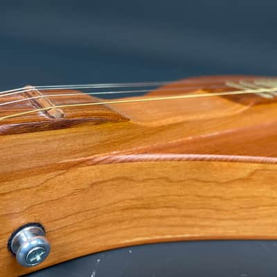 Black Mountain Instruments Model 580 Mountain Dulcimer 2009 USA w/ Gig Bag, Books & Accessories image 11