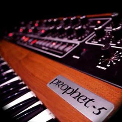 Spectrasonics Trilian Bass Module Virtual Instrument(New) image 2