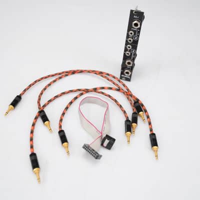 Strymon AA.1 Eurorack Module w/ Braided Patch Cables #58925 image 6