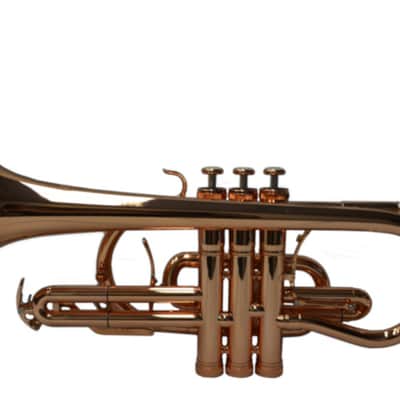 Schiller Shepherds Crook Pro Cornet w/Trigger image 2