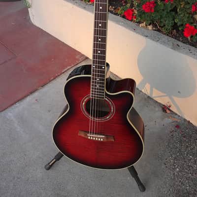 Ibanez AEL20-TRS-14-01 image 1