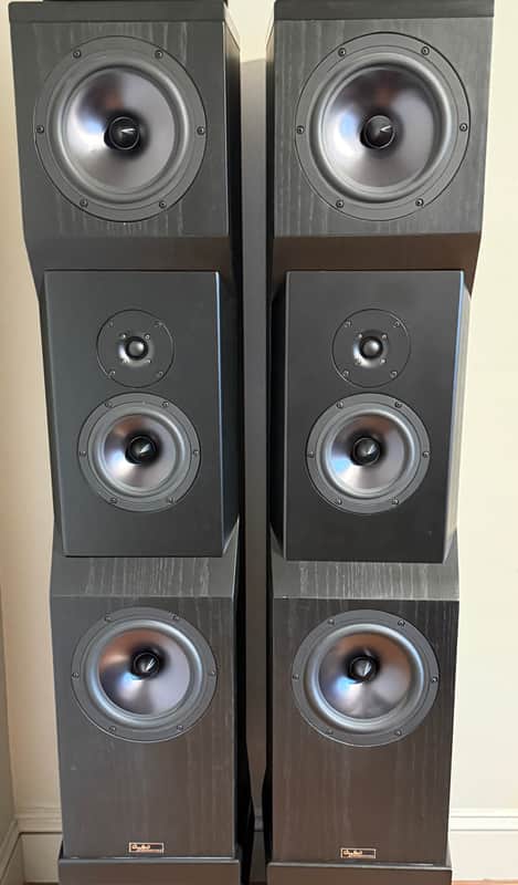 Tyler Acoustic D2X Mastering Studio Monitors image 1