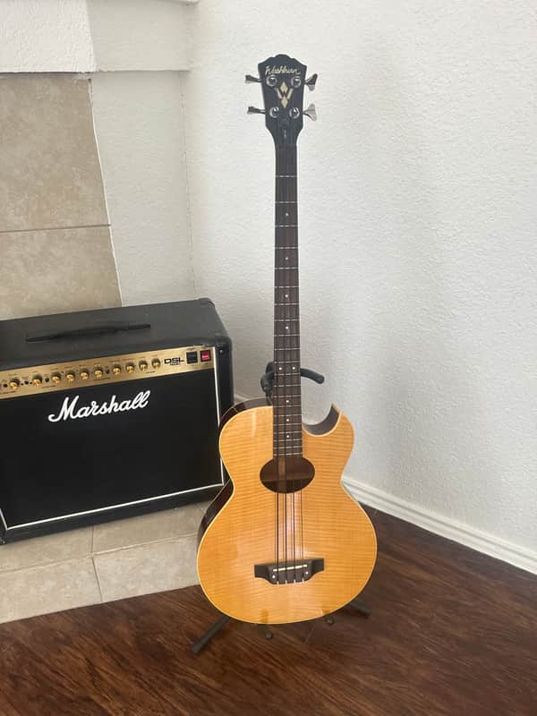 Washburn AB-10 - Natural image 1