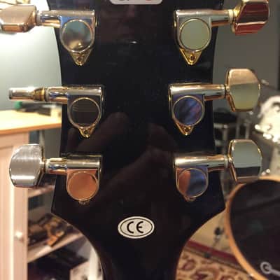 Epiphone John Lee Hooker Boogie Man Sheraton image 11
