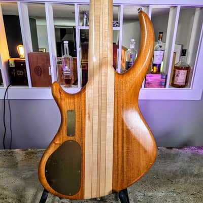 Alembic Rogue 1999 image 9