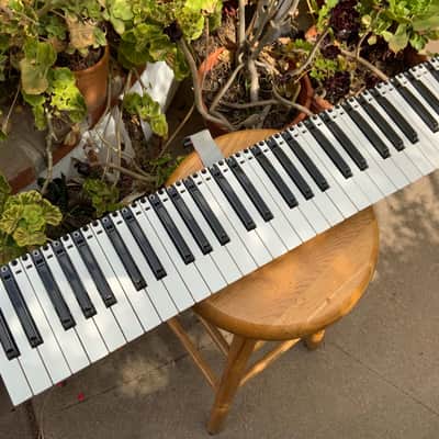 Dave Smith Instruments Prophet 12 keyboard bed