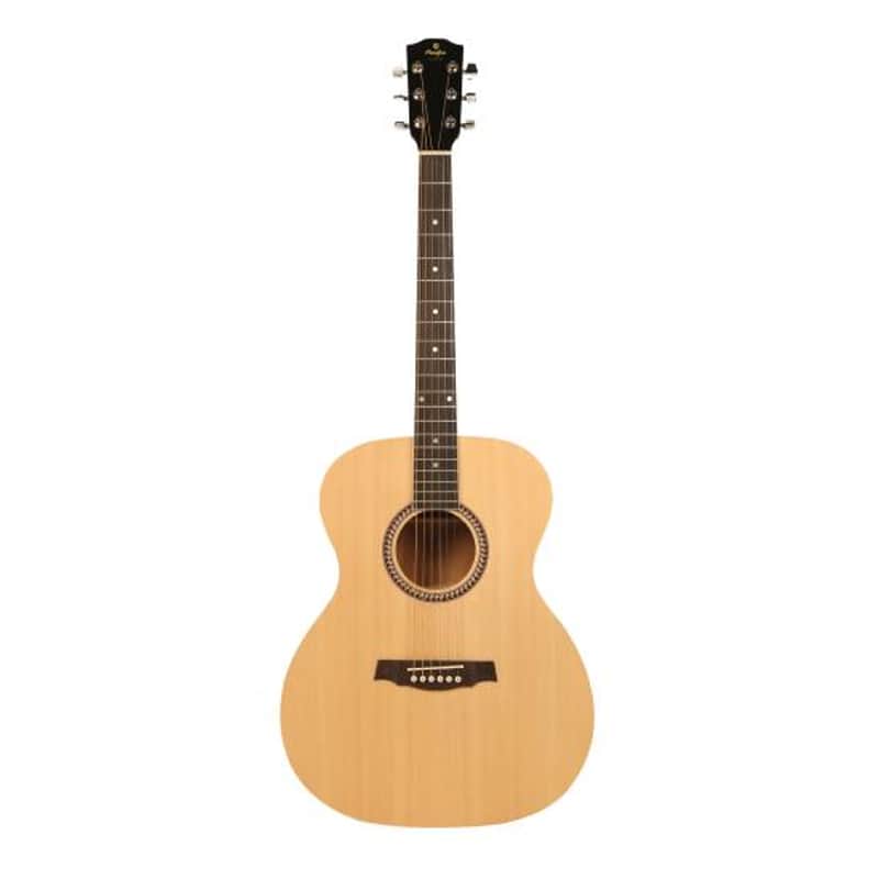 Guitare folk Prodipe SA25 image 1