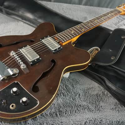 Lero Semi Hollow Body Electric Guitar image 23