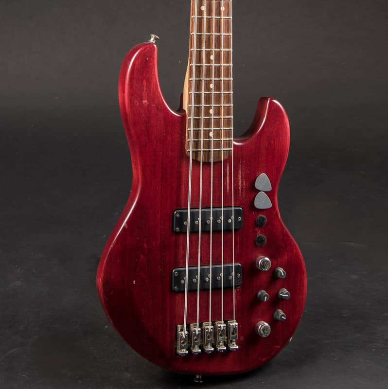Alien Audio PP 5-String w/HSC image 1