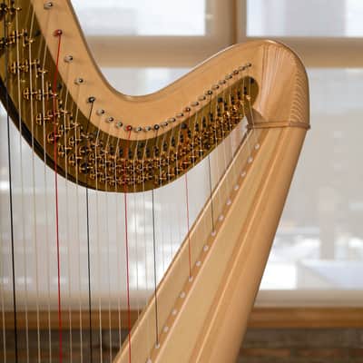 Salvi Daphne 40 Pedal Harp 2019 - Natural image 17