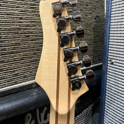Spear Gladius sp 2010s neck thru image 6