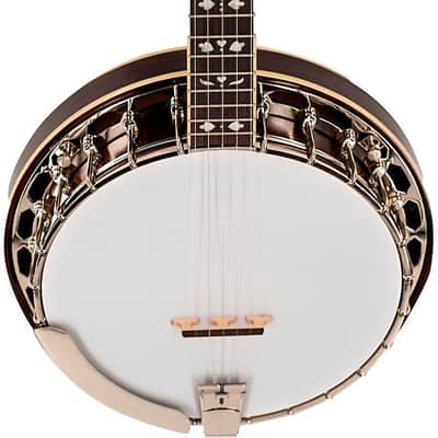 Recording King RK-R20 Songster 5-String Tone Ring Banjo, Dark Brown image 3