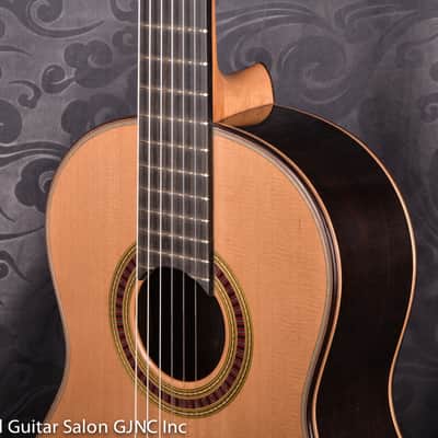 Otto Vowinkel 1A Concert Guitar , Cedar/Brazilian rosewood B & Sides image 9
