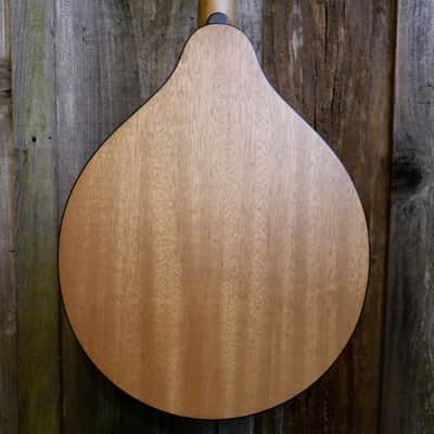 Eastman PCH M-104-NAT A-Style Mandolin - Natural image 15