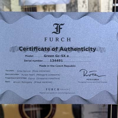 Furch GREEN Gc SX a BACKSTAGE LIMITED PURPLE HEART Lr Baggs Athem image 8