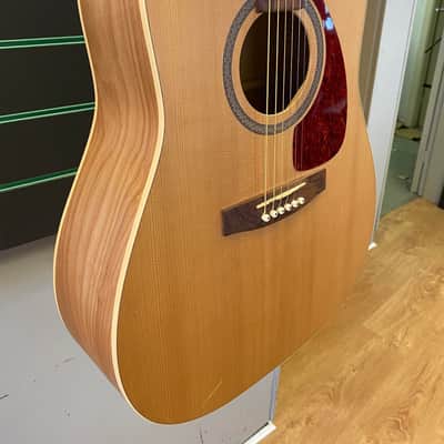 Norman B20 (6)  Natural Satin Acoustic Guitar image 2