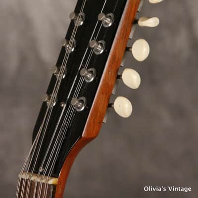 Gibson 12-String Melody Maker  1967 Pelham Blue image 5