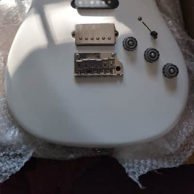 PRS Fiore 2021 Project Body Sugar Moon image 1