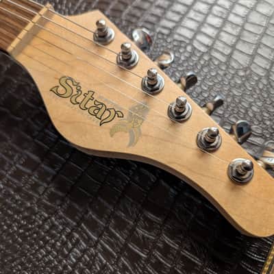 Jerry Jones Electric Sitar Guitar Harder To Find Gator White Crackle W/OHSC CLEAN! USA image 8