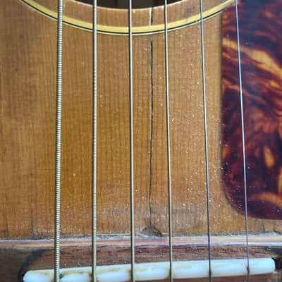 Epiphone FT-45n Cortez 1965 image 11