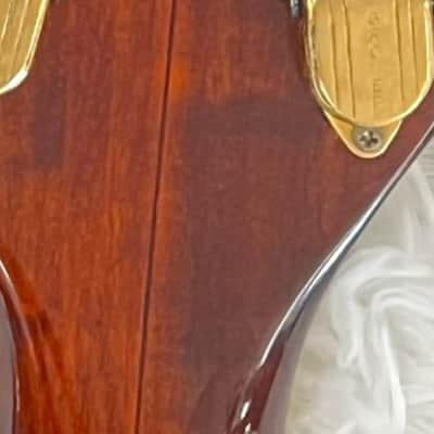 1972 Gretsch Chet Atkins Country Gentleman USA Vintage Guitar w/Original Case image 7