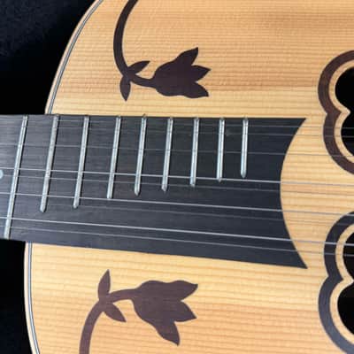 APC Viola Amarantina 2019 image 4