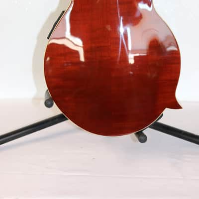 Michael Kelly Dragonfly Custom II Limited Edition Electric Mandolin LH W/Case image 9