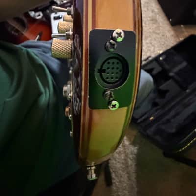Jerry Garcia Tiger Replica by Phiga w/ Ghost MIDI and HSC image 8