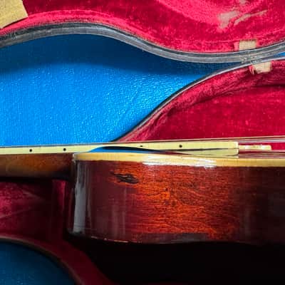 Gibson F-2 1918-1920's - Sunburst #SR-11-24 image 13