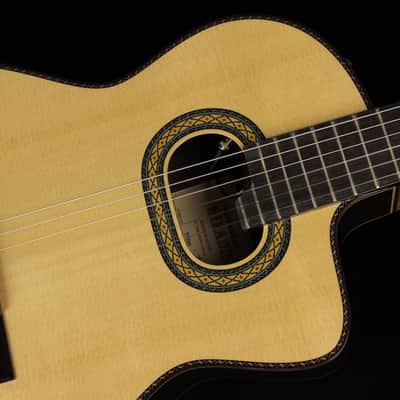 Takamine TH90 Hirade (#973) image 3