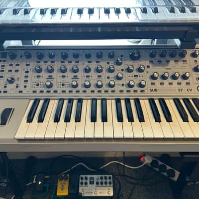 Moog Subsequent 37 CV Paraphonic Analog Synth 2010s - Gray