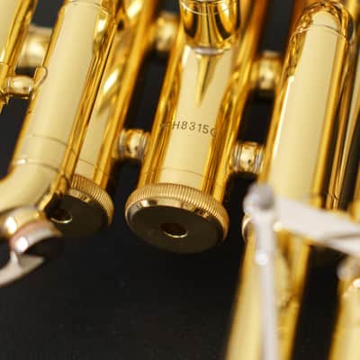 Yamaha YFH-8315G Custom Bb Flugelhorn (SN 4605xx) image 18