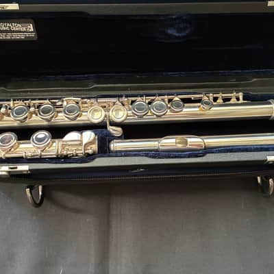 Sonare SF-301 Flute Outfit (C-foot, Offset G) image 1