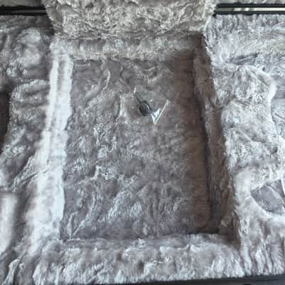 Fender Hard Case image 8