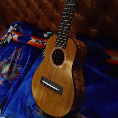 Randolph Concert Ukulele #41 w/Bag image 2