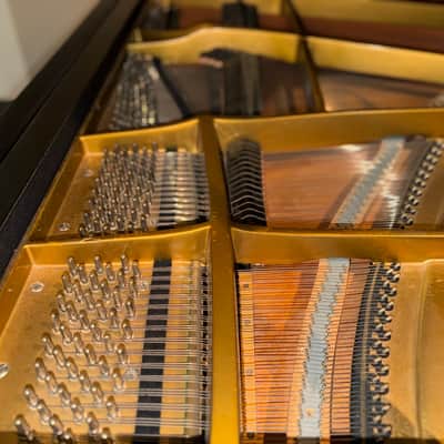 Schimmel Parlor Grand Piano 1970 - Ebony Satin image 9