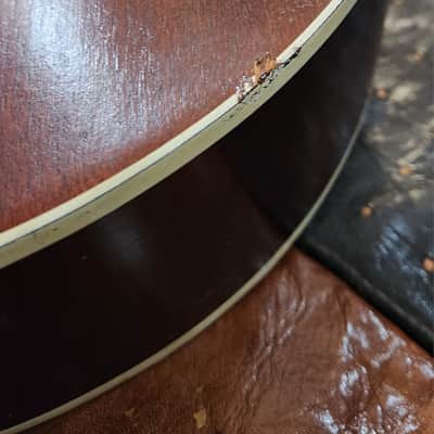 Harmony Alden H1213 Tiger Burst Birch Archtop 1950s USA image 18
