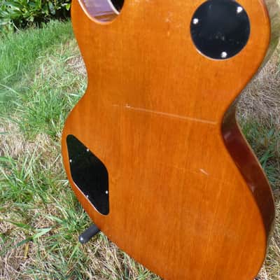 Vaschenko LP Type 2013 Vintage Amber image 10